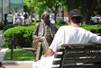 Park Bench
