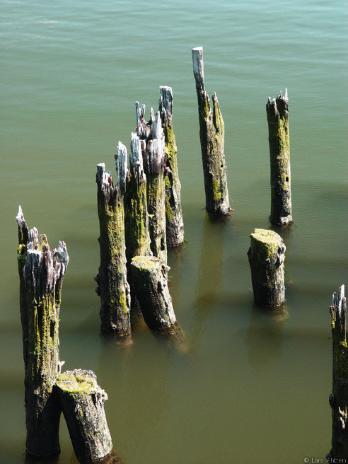 Poles2