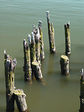 Poles2