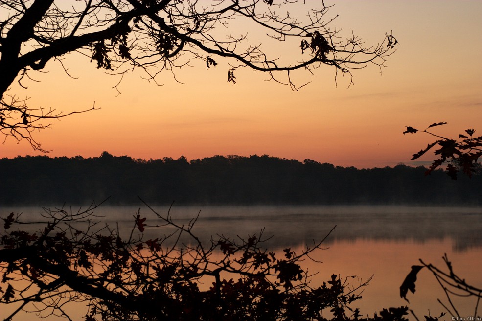 Twilight