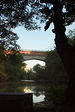 Echo Bridge