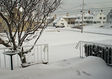 surfside3