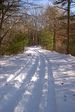 Winter in Wompyland, December 15 2007