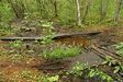 IMG_0861
