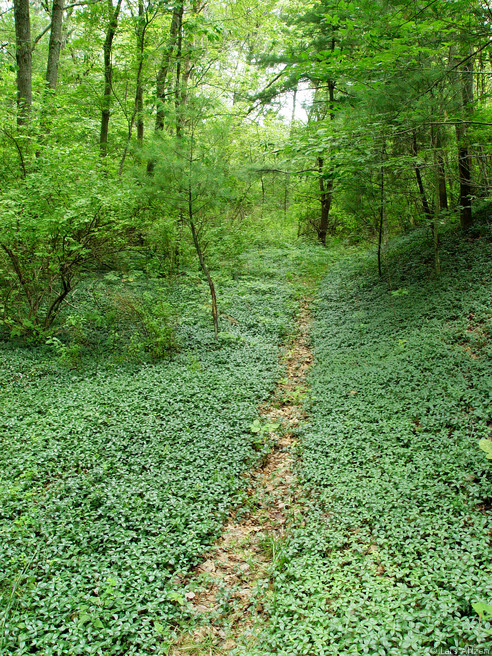 dsc04064