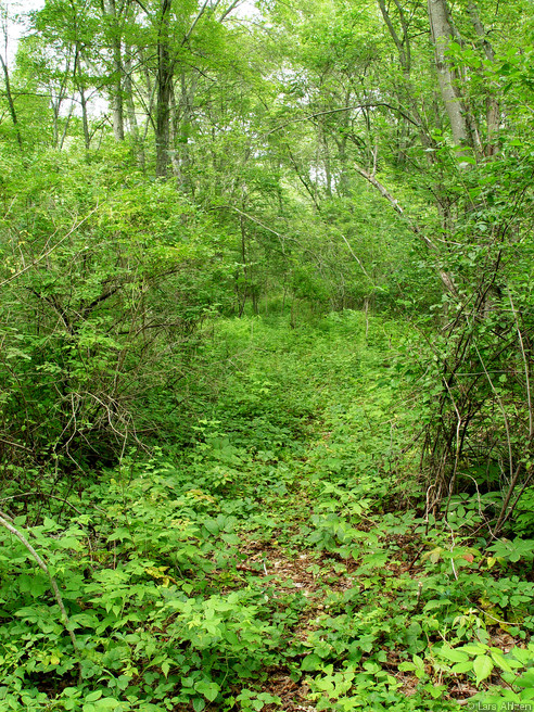 dsc04067