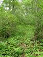 dsc04067