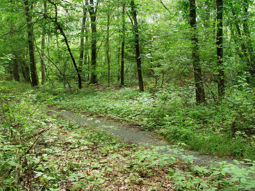 dsc04070