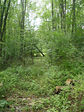 dsc04080