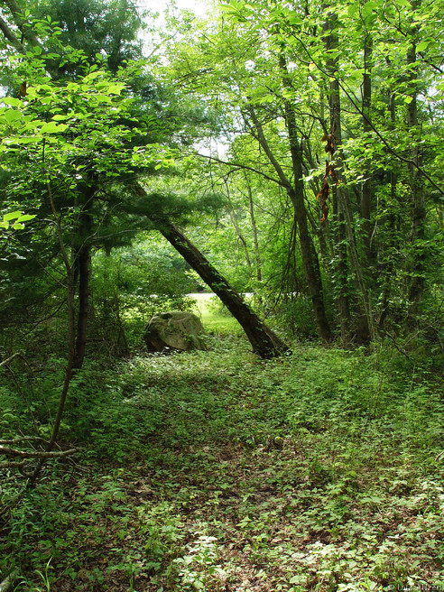 dsc04083