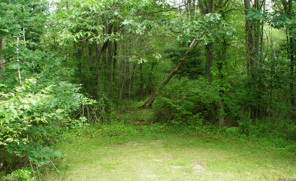 dsc04085