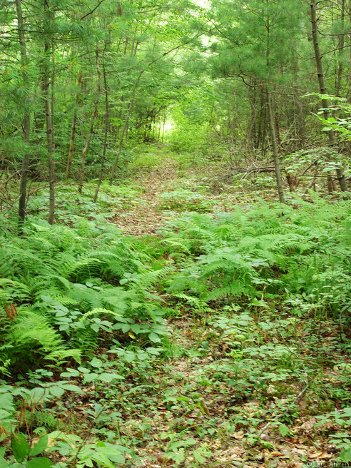 dsc04044