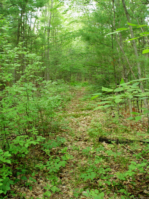 dsc04046