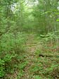 dsc04046