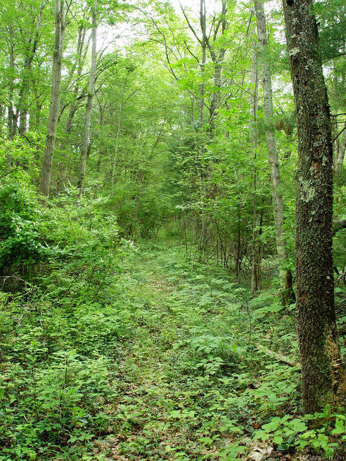 dsc04049