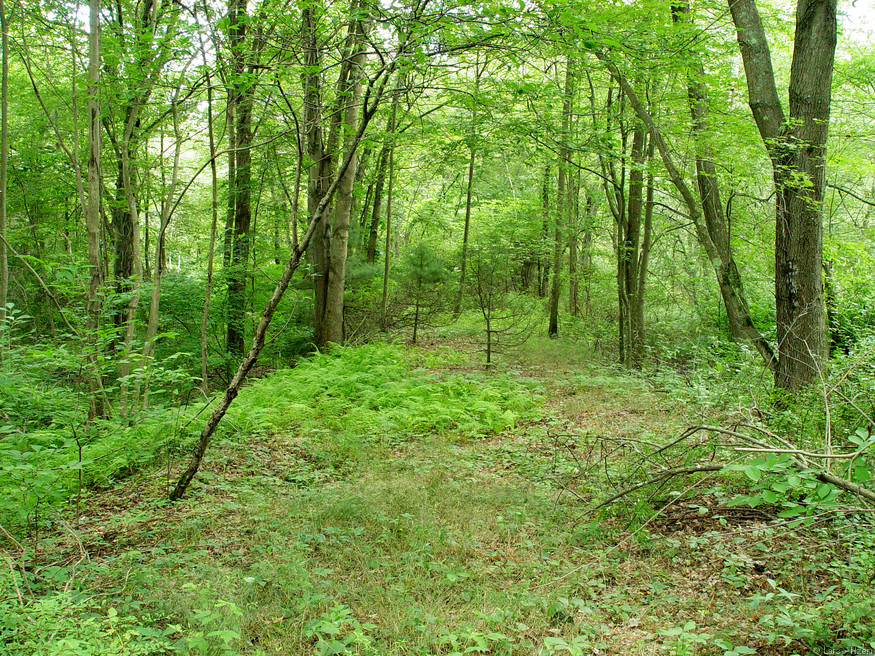dsc04052