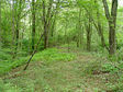 dsc04052