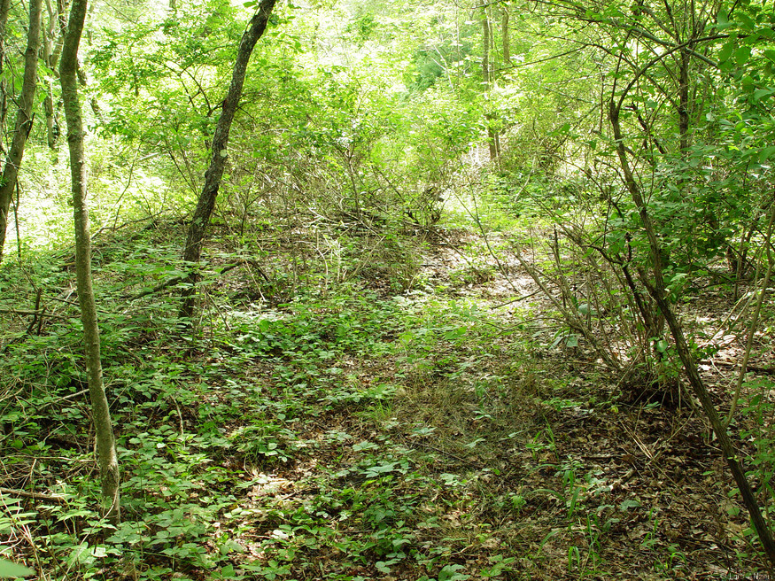 dsc04058