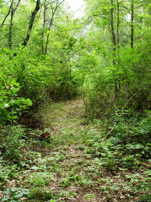 dsc04059