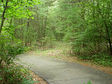 Rail Trail, Aug 2008