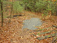 Trail Work, Nov 2008