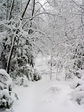 dsc04348