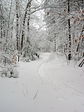 dsc04339