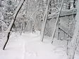 dsc04347