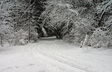Winter, Jan 2009