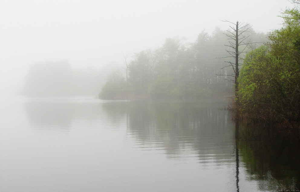lake fog
