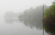 lake fog