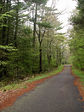 path