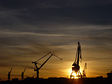 Cranes