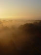 DSC00393