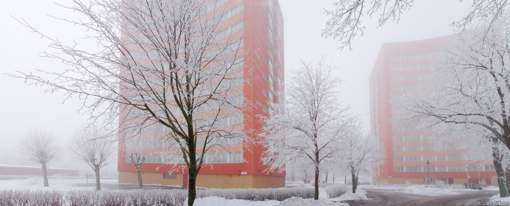 Mandolingatan Winter