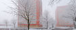 Mandolingatan Winter