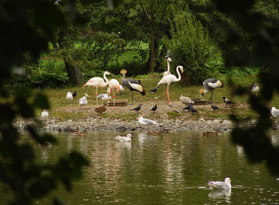 DSC00435