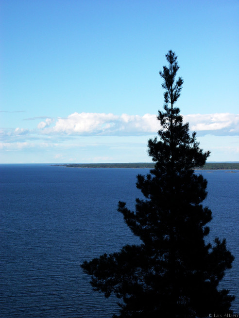DSC00387