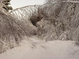 DSC00886