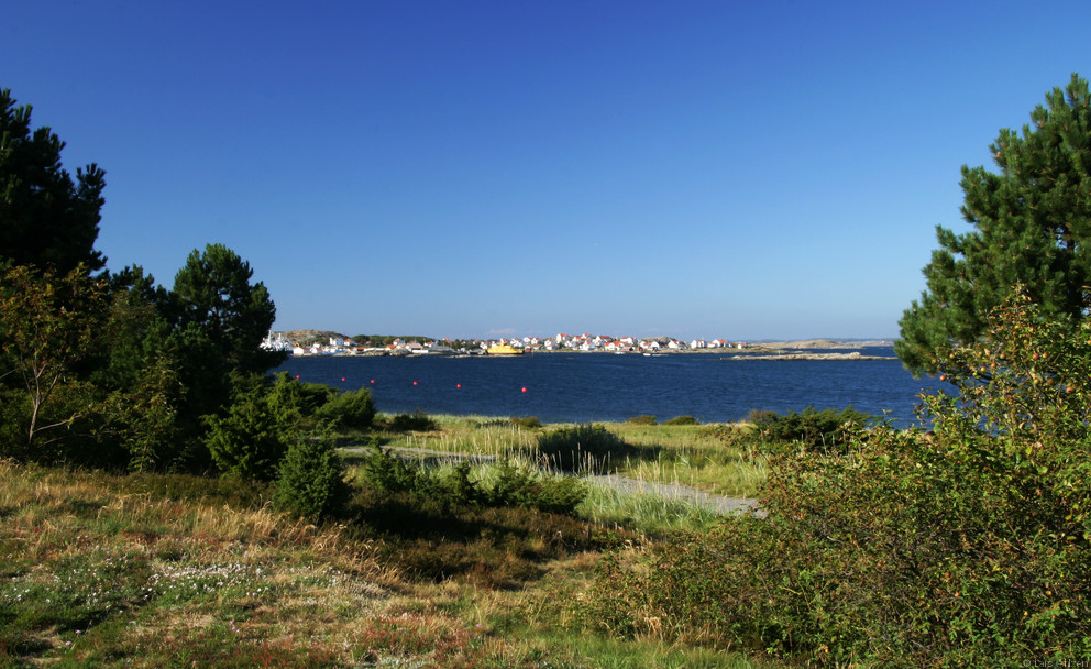Meadow on Hyppeln