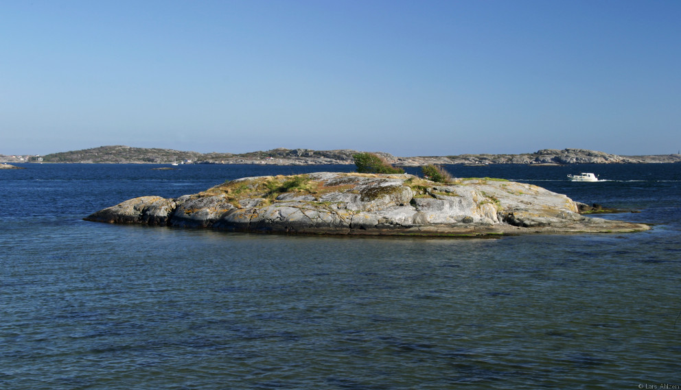 Tiny Island