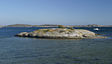 Tiny Island