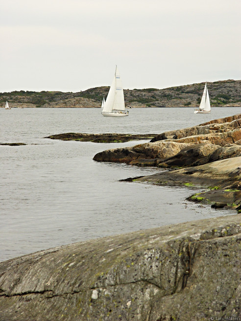 Sailboats