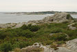 View from Kallo