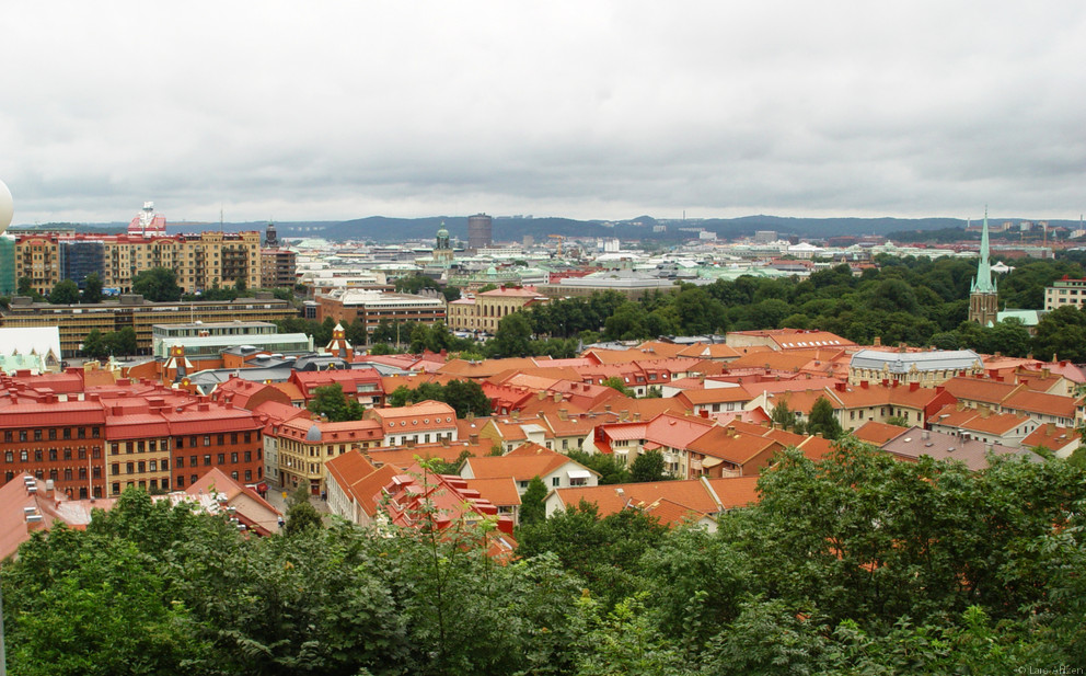 City Overlook