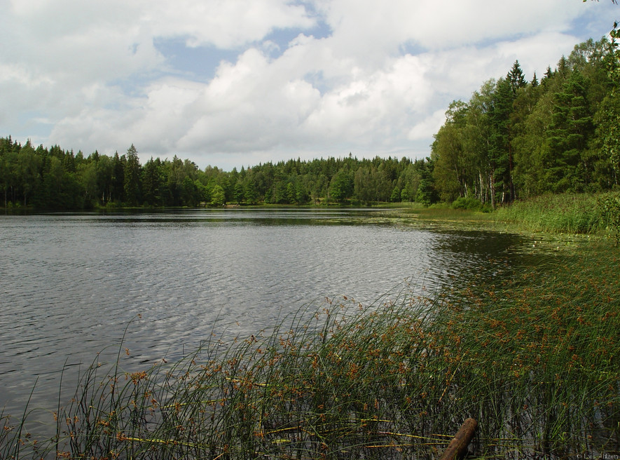 Hunneberg
