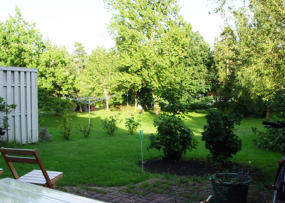 Yard