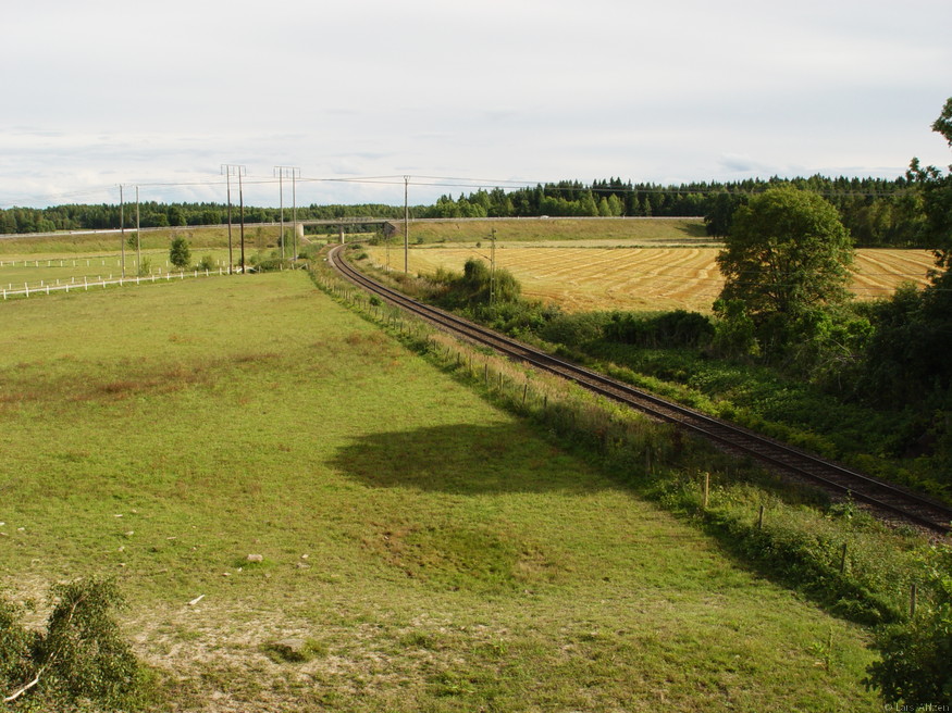 DSC00378