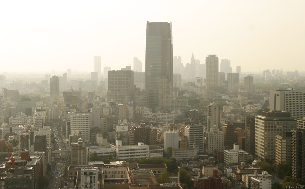 Tokyo Tower View 1