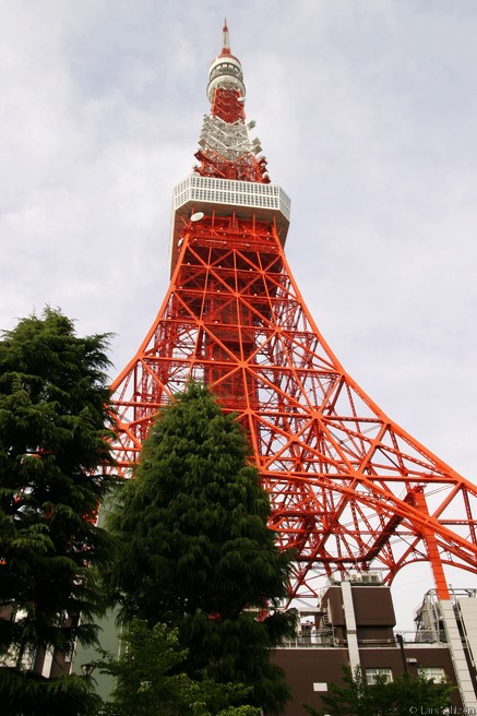 Tokyo Tower 1